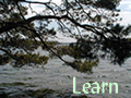 learn
